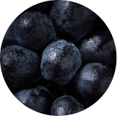 Grape Seed, Rutin and Quercetin