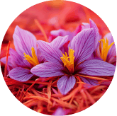 Saffron Extract